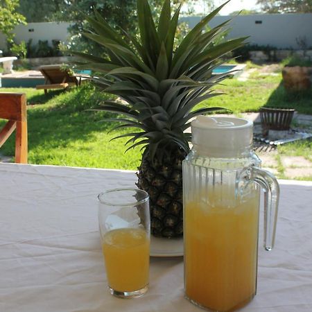 Villa Graf Ongwediva Екстериор снимка